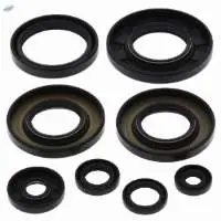 Oil Seals