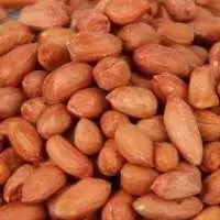 Bold Peanuts