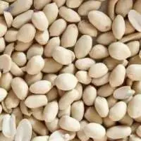 Blanched Peanuts