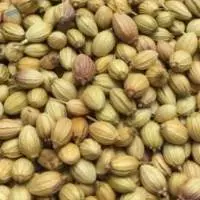 Coriander Seeds
