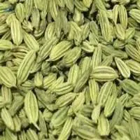 Fennel Seeds