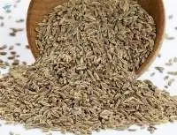 Dill Seeds