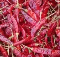 Dry Red Chilli