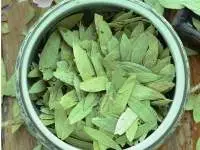Senna Leaves