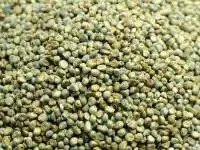 Green Millets