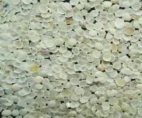 Guar Gum Split