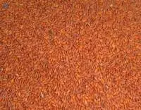 Asaliya Seeds