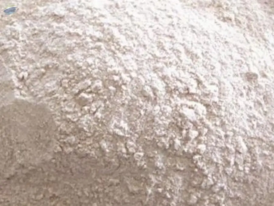 Dehydrated Garlic Powder
