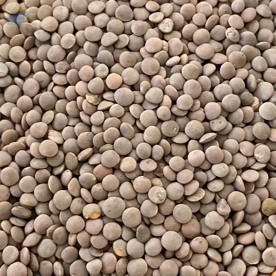 Whole Red Lentils
