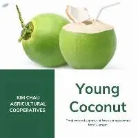 Semi Green Husk Coconuts