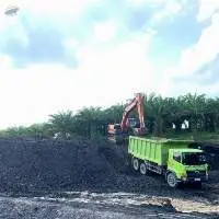 Indonesian Steam Coal