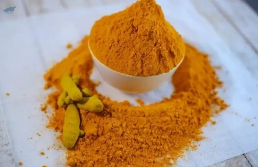 Turmeric Powder