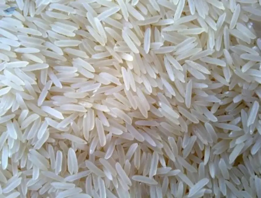 Basmati, Non Basmati Rice
