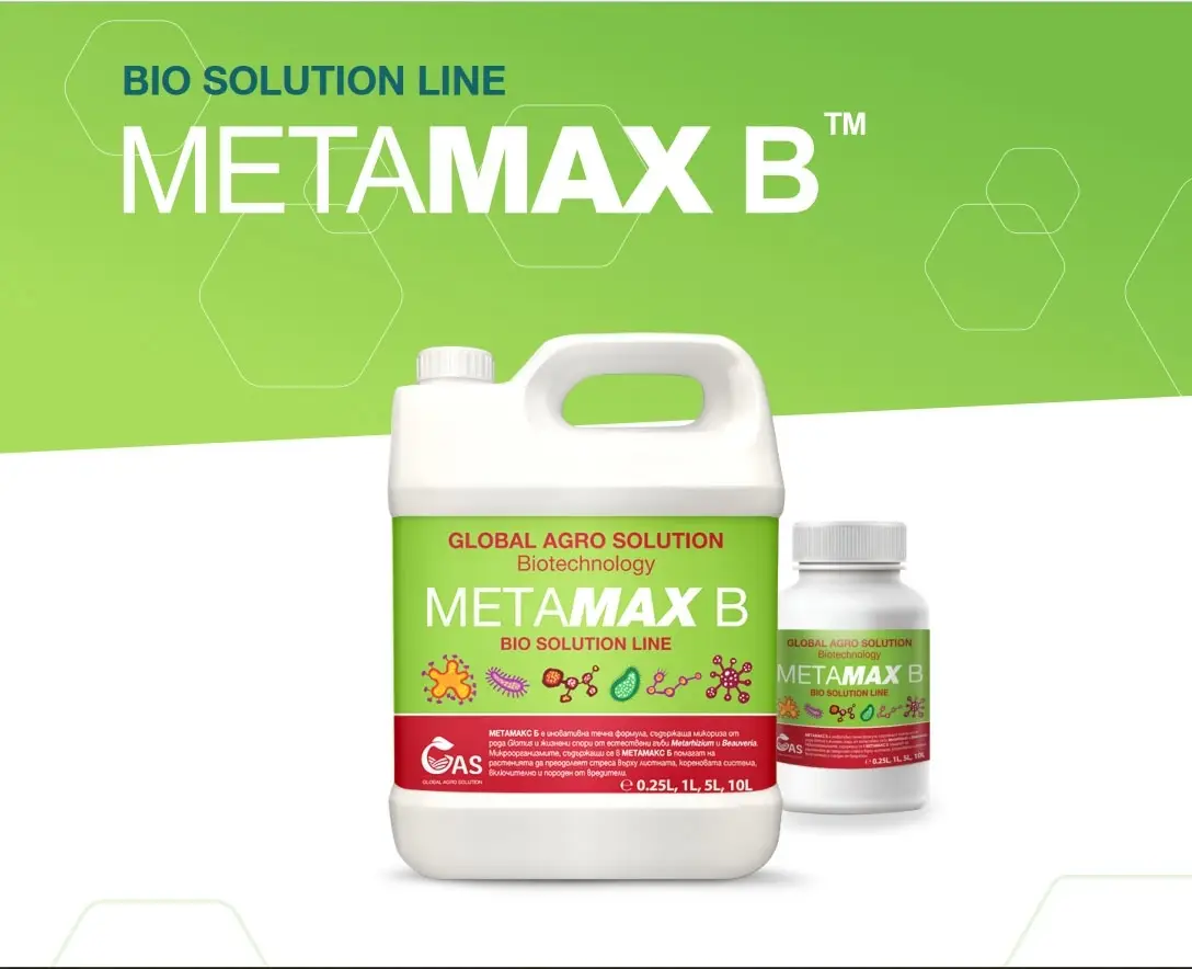 Metamax B 5L