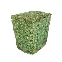 Alfalfa Hay