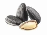 Sunflower Seed
