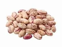 Pinto Beans