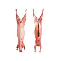 Fresh & Frozen Sheep Carcass