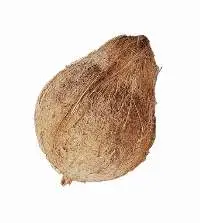 Semi Husked Matured Coconut