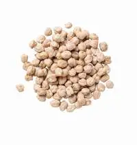 Kabuli Chickpea