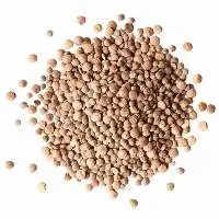 Whole Red Lentils