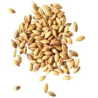 Malting Barley Class A