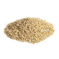 Quinoa