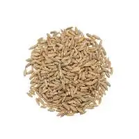 Rye