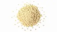 Sorghum