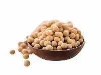 Soybeans Grade 2