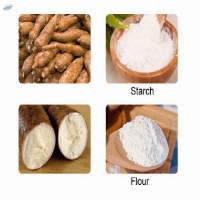 Tapioca Starch