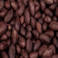 Cocoa Beans