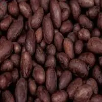 Cocoa Beans