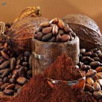 Cocoa Powder