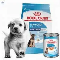 Royal Canin