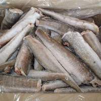 Frozen Hake Fish