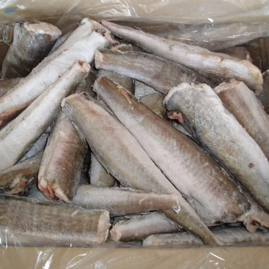 Frozen Hake Fish