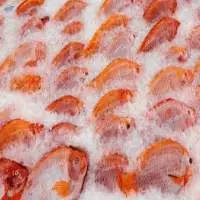 Frozen Red Tilapia Fish