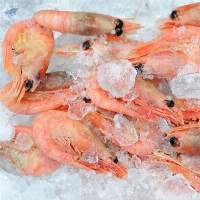 Frozen Red Shrimps