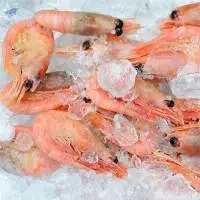 Frozen Red Shrimps