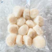 Frozen Shellfish Mussels