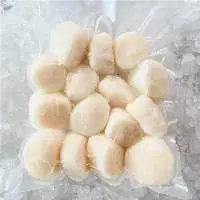 Frozen Shellfish Mussels
