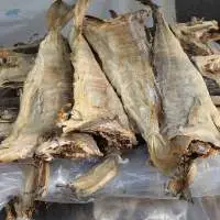 Dried Stockfish