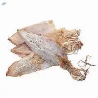 Dry Cuttlefish