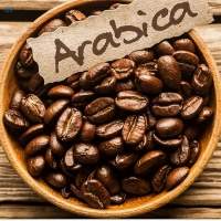 Arabic Coffee Beans
