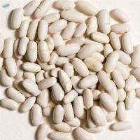 White Kidney Beans