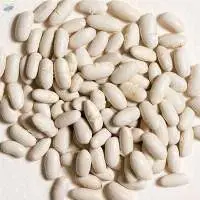 White Kidney Beans