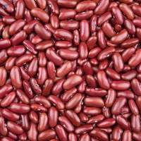 Red Kidney Beans