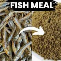 Fish Meal for Animal Feed