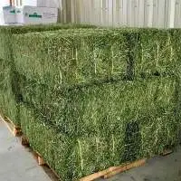 Alfafa Hay